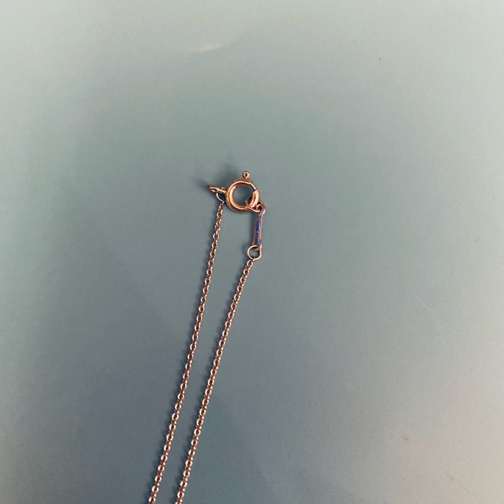 Tiffany & Co Paloma Picasso sterling silver pendant & chain - Picture 5 of 6